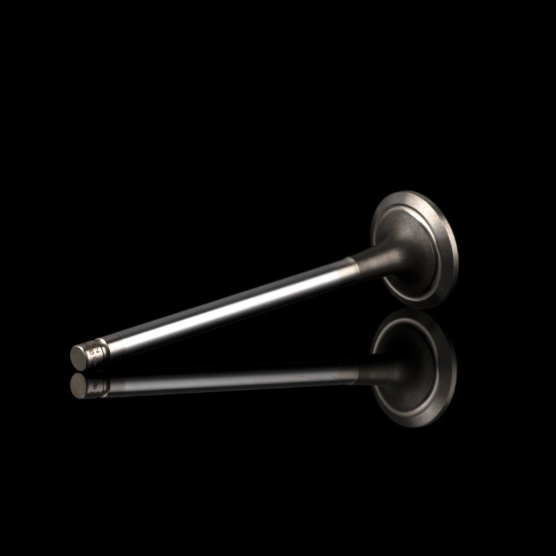 Клапан выпускной G5900-1003103A