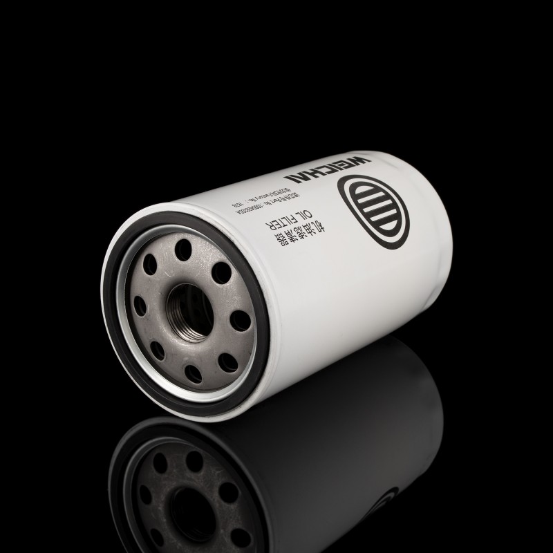 Фильтр масляный 1000428205А