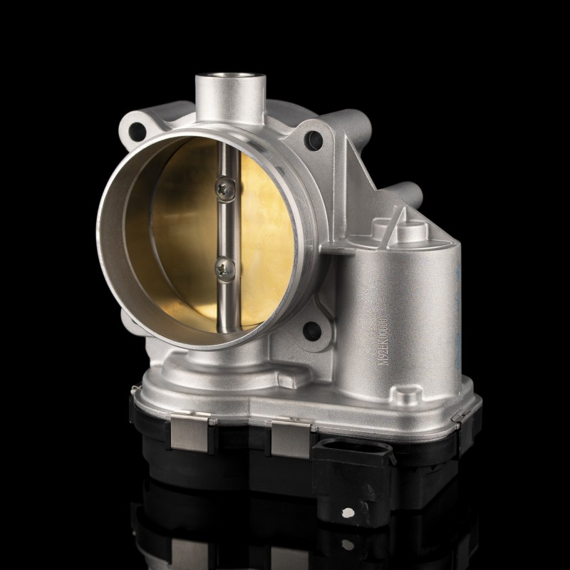 Электронный дроссель 11N100-1113640SF3