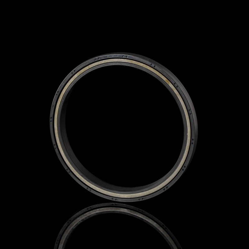 Сальник коленвала задний MS100-1600440