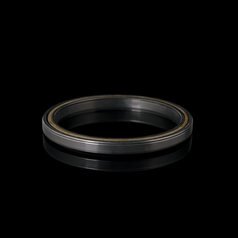 Сальник коленвала задний MS100-1600440