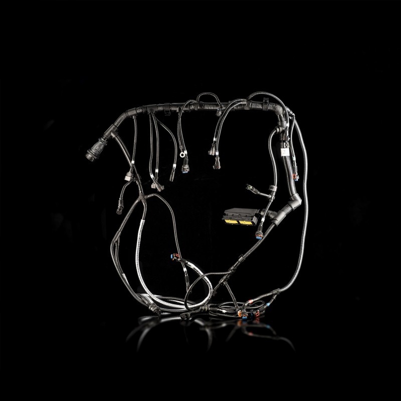 Жгут проводов двигателя  